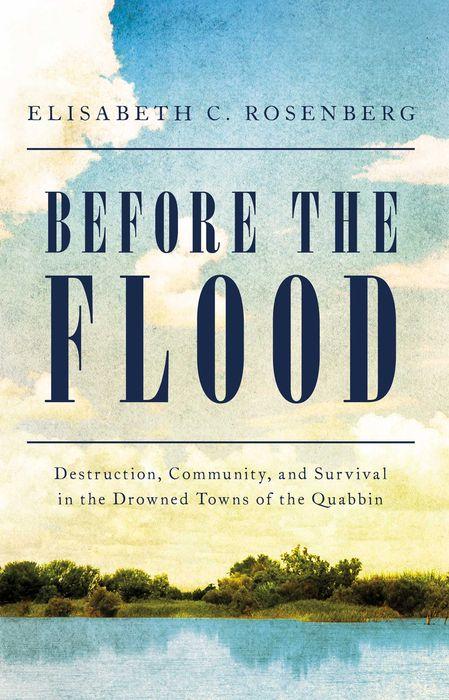 Book cover: Before the Flood by Elisabeth Rosenberg