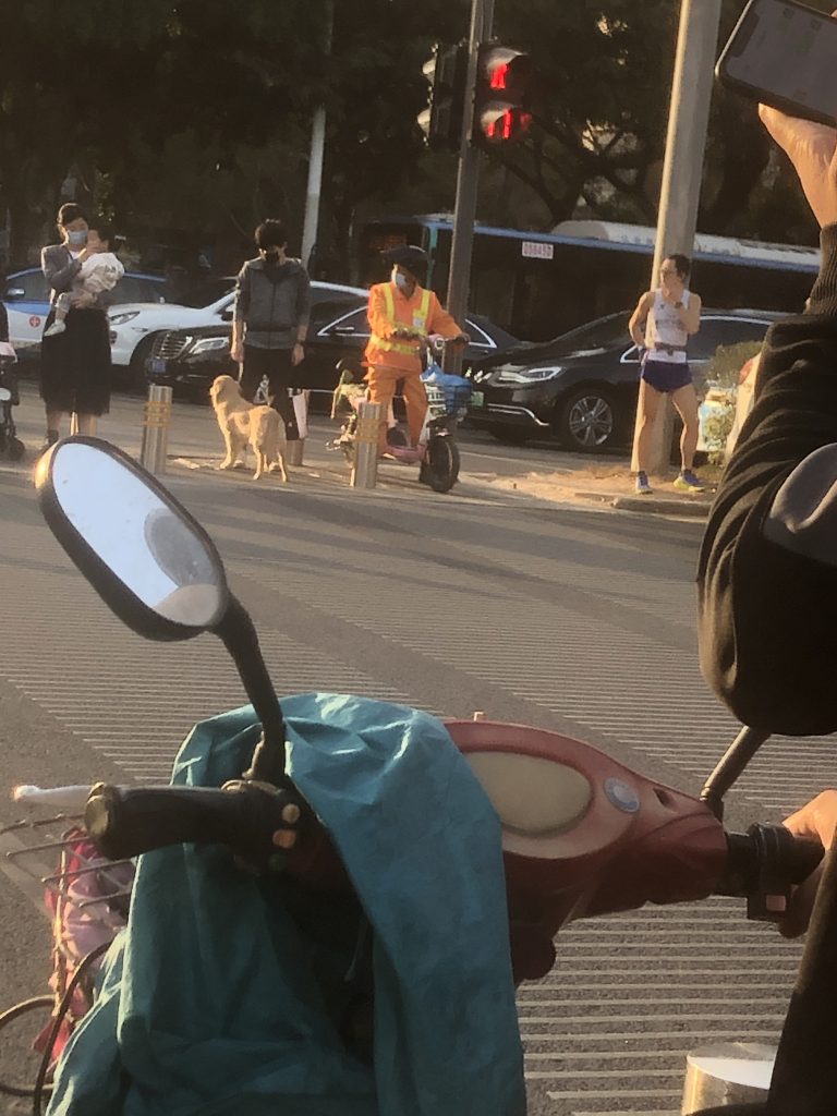 People talking and walking their dogs in the street with the handlebars of a scooter in the foreground