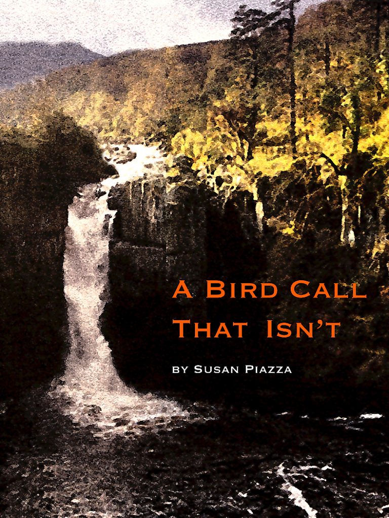 Book cover: A Bird Call That Isn't by Susan Piazza