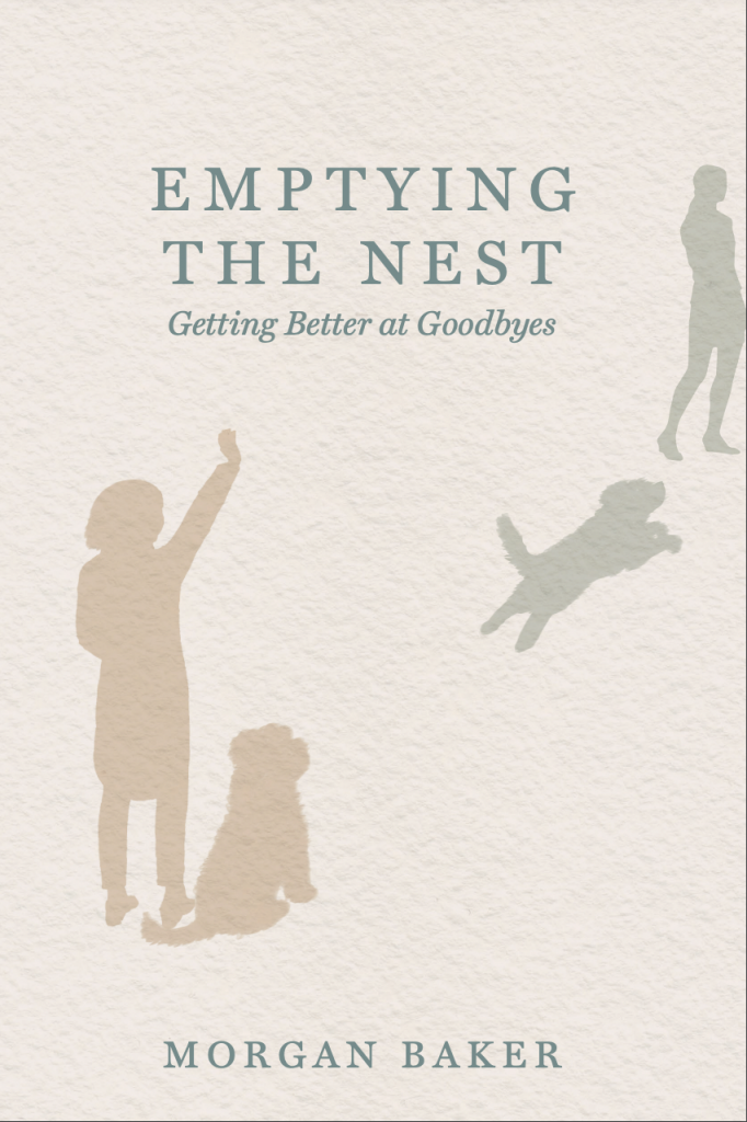 Cover of Emptying the Nest