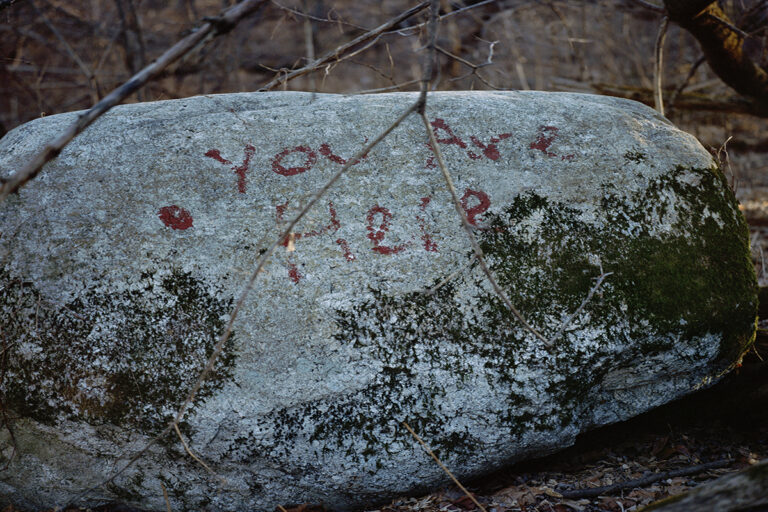 A rock with graffiti that says: You are here